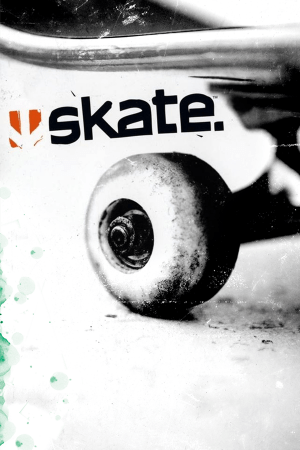 Скачать Skate.