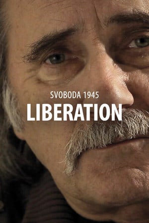 Скачать Svoboda 1945: Liberation
