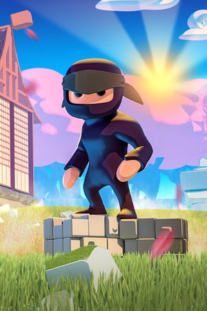 Скачать Mad Dojo