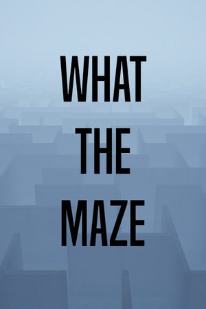 Скачать What The Maze