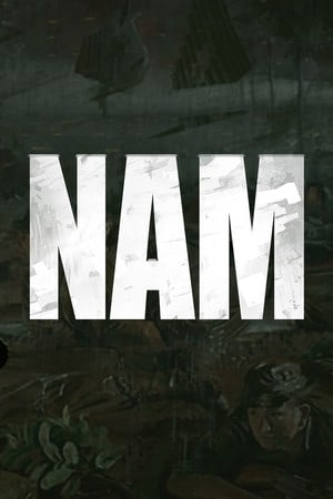 Скачать NAM