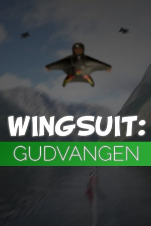 Скачать Wingsuit: Gudvangen