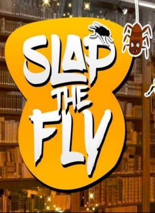 Скачать Slap The Fly