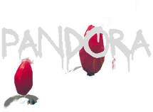 Pandora Логотип