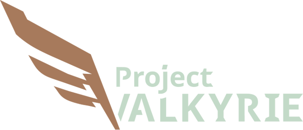 Project Valkyrie в Steam