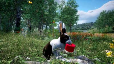 Rabbit Meadow бесплатно скачать на пк