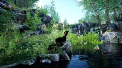 Rabbit Meadow торрент скачать