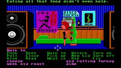 Maniac Mansion бесплатно скачать на пк