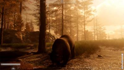 The WILDS торрент скачать