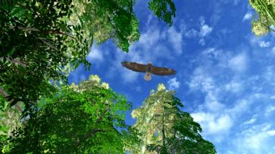 Safari Grounds - The Wilpattu Leopard торрент скачать