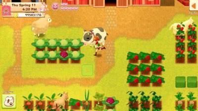 Harvest Moon: Light of Hope Special Edition бесплатно скачать на пк