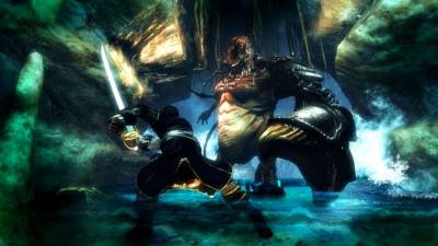 Risen 2: Dark Waters бесплатно скачать на пк