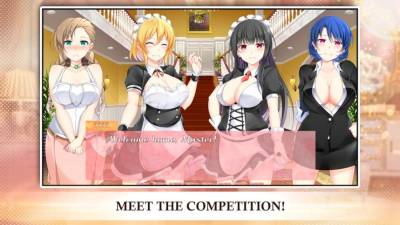 Himeko Maid торрент скачать