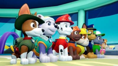 Paw Patrol: On A Roll! бесплатно скачать на пк