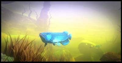 Feed and Grow: Fish бесплатно скачать на пк