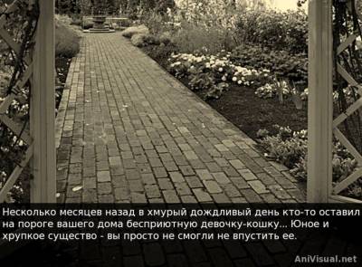 Be My Master бесплатно скачать на пк