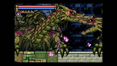 Castlevania Advance Collection торрент скачать