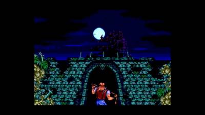 Castlevania Anniversary Collection бесплатно скачать на пк