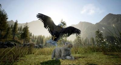 Wilderness торрент скачать