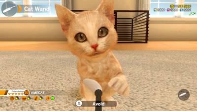 Little Friends: Dogs and Cats бесплатно скачать на пк