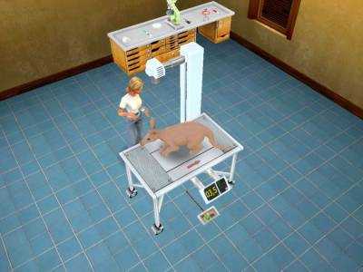 Pet Vet 3D Wild Animal Hospital скачать на пк