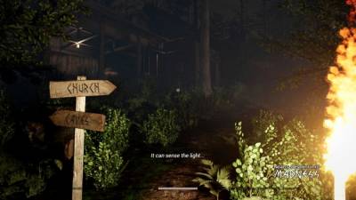 Noah's Descent into Madness бесплатно скачать на пк