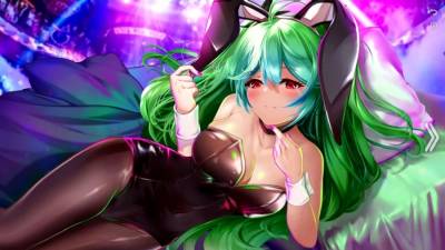 Bunny Girl Story бесплатно скачать на пк
