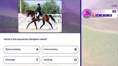 Equestrian Training бесплатно скачать на пк