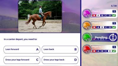 Equestrian Training торрент скачать