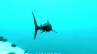 Alpha Shark торрент скачать
