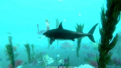 Alpha Shark скачать на пк