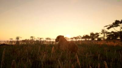 Animalia Survival бесплатно скачать на пк