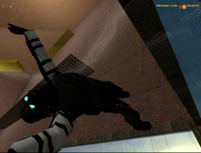Half-Life 2: Deathmatch бесплатно скачать на пк