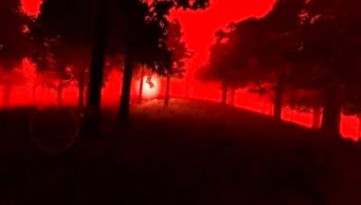 Hylophobia скачать на пк