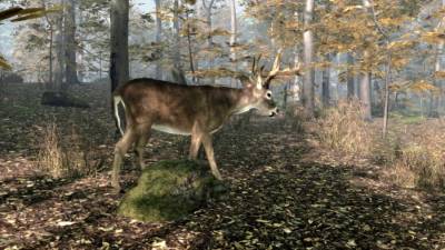 Pro Deer Hunting 2 бесплатно скачать на пк