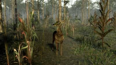 Pro Deer Hunting 2 скачать на пк