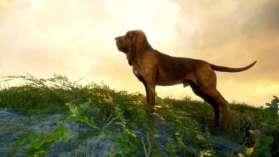theHunter: Call of the Wild - Bloodhound бесплатно скачать на пк
