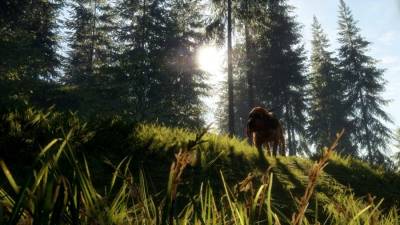 theHunter: Call of the Wild - Bloodhound торрент скачать