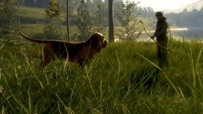 theHunter: Call of the Wild - Bloodhound скачать на пк