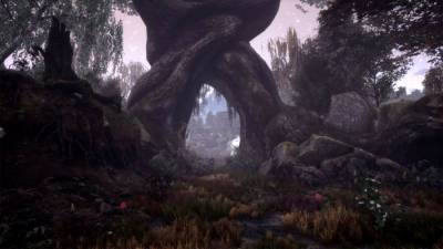 The Dead Tree of Ranchiuna скачать на пк
