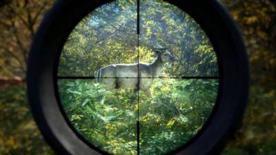theHunter: Call of the Wild бесплатно скачать на пк