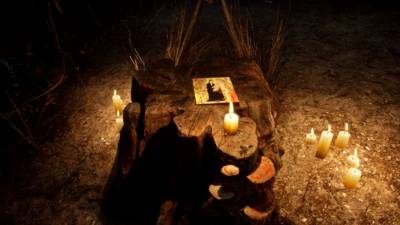 Horror Story: Hallowseed бесплатно скачать на пк