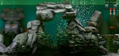 Biotope бесплатно скачать на пк