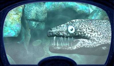 Nancy Drew: The Creature of Kapu Cave скачать на пк