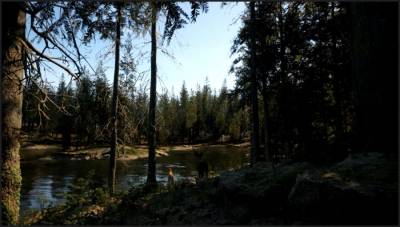Evergreen - Mountain Life Simulator бесплатно скачать на пк