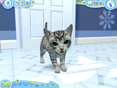 Petz Catz 2 бесплатно скачать на пк