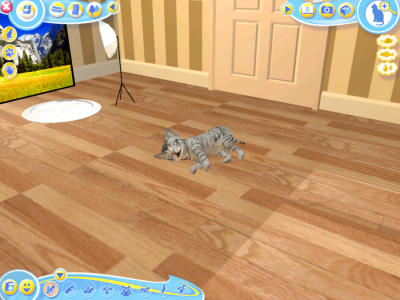 Petz Catz 2 торрент скачать