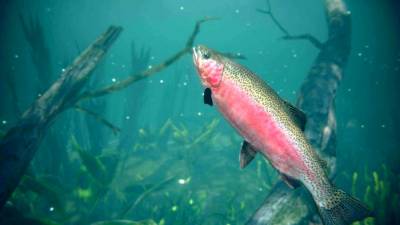 Ultimate Fishing Simulator 2 бесплатно скачать на пк