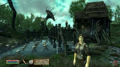 The Elder Scrolls 4 Oblivion: Shivering Isles бесплатно скачать на пк