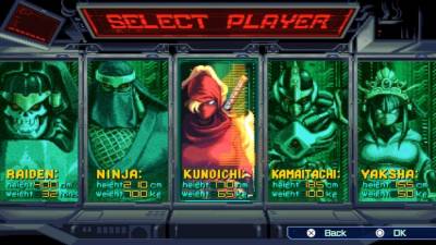 The Ninja Saviors: Return of the Warriors бесплатно скачать на пк
